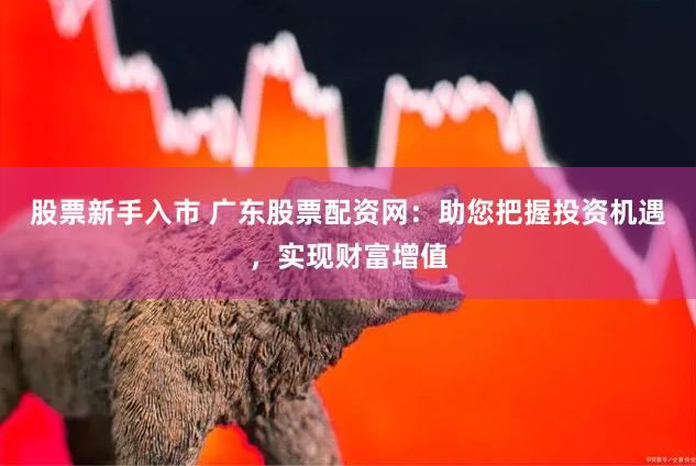 股票新手入市 广东股票配资网：助您把握投资机遇，实现财富增值